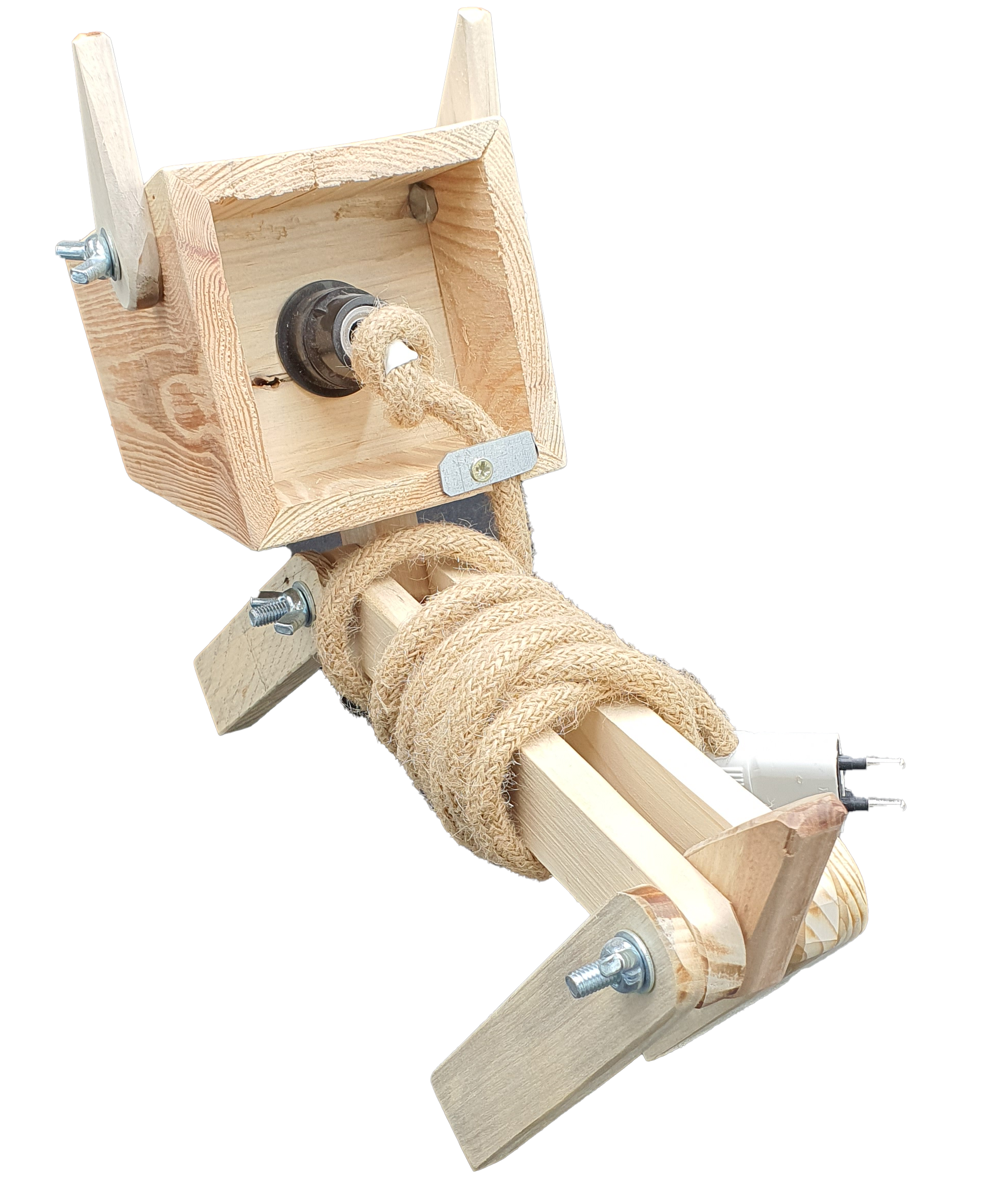 Image de Lampe en bois – Chien – Série 1